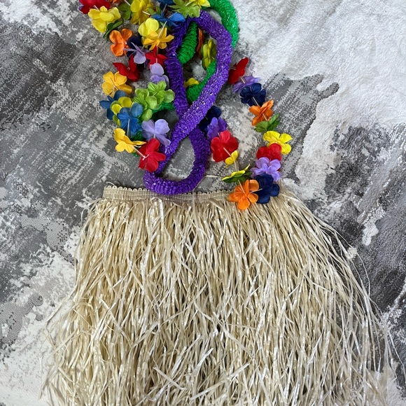 Hawaii Hula Skirt - Picture 2 of 4